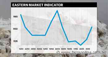 Slight bounce in wool market but true upward trend a way off