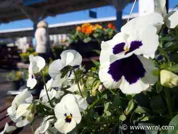 Southern Pines flower shop refuses to serve LGBTQIA+ weddings