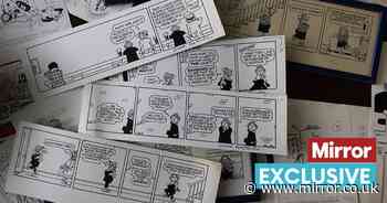 Woman finds rare Andy Capp comic strips in cellar - 30 years after they were hidden there