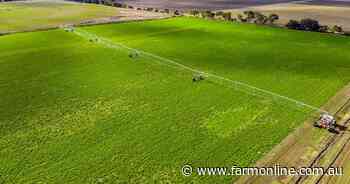 Lake-side lucerne farm punches above its weight with four summer cuts