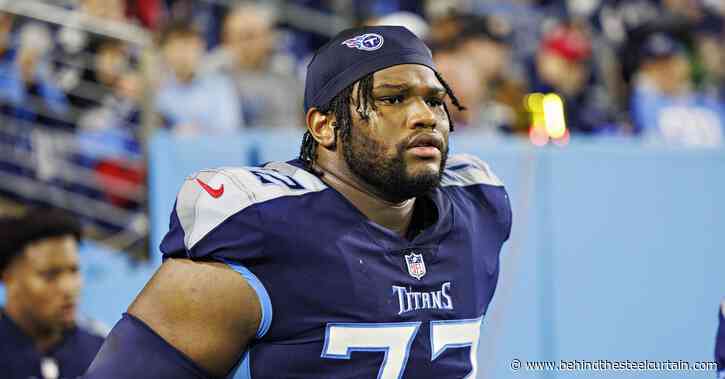 Former Titans DL tries out for Steelers at minicamp