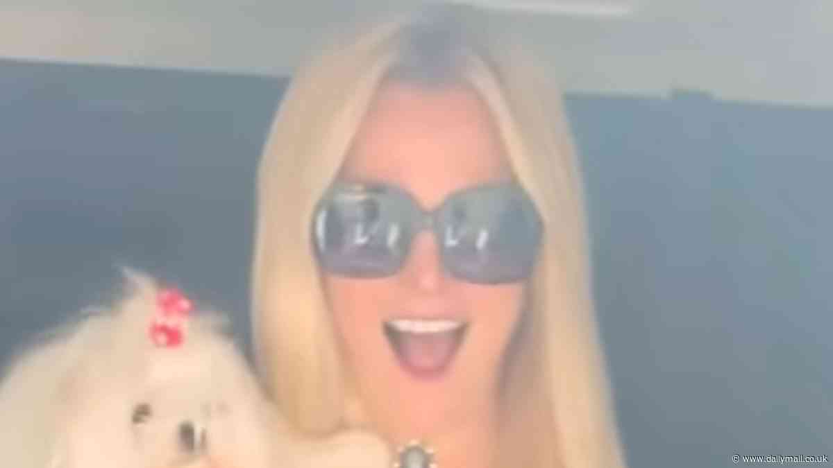 Britney Spears dances with her adorable pup Snow on jet... while ex husband Sam Asghari films Traitors amid gag order