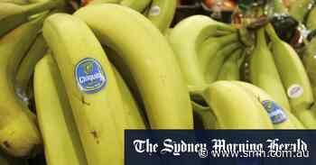 Chiquita banana company found liable of funding Colombian death squads