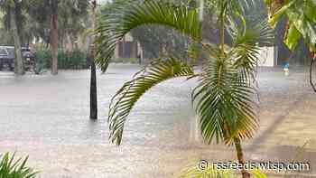 Flash flooding swamps Sarasota, submerging roads and cars