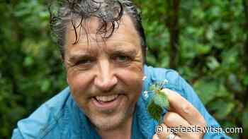 Sarasota botanist discovers 'miraculous' new plant species in barren landscape