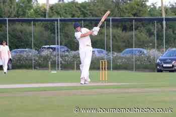 Will Tripcony stars as Bournemouth CC are beaten by Bashley
