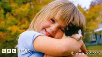 Buyer beware - new homes developer bans cats and kids
