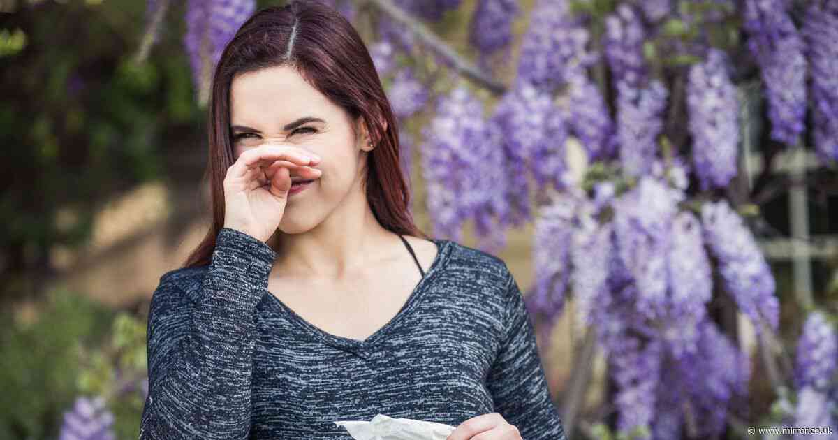 Hay fever suffers are only just learning how nasal relief spray should be used