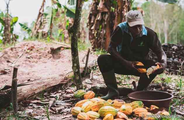 Welttag gegen Kinderarbeit: Trotz steigender Kakaopreise arbeiten weiter Millionen von Kindern illegal für unsere Schokolade