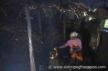 Cooking and coughing: Respiratory diseases plague Kenya as more people burn wood to save money