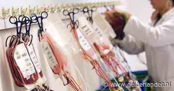 Wereld Bloeddonordag: zo werkt bloed doneren in Arnhem