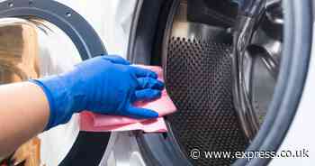 Remove 'damp' smells from washing machines in a single wash using one item - not vinegar