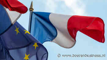 Frankrijk kiest, euro verliest