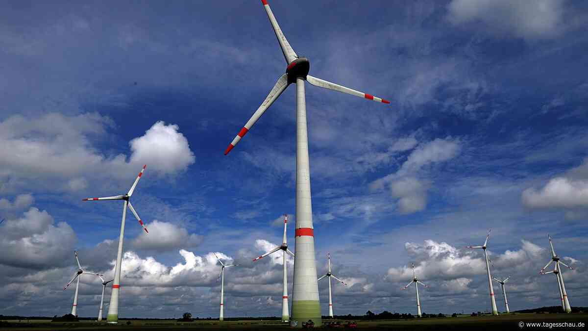 Klima-Desinformation: Windkraftanlagen verursachen keine Dürre
