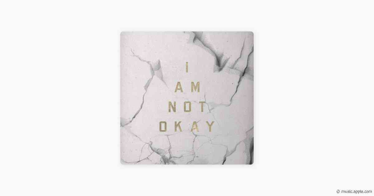 I Am Not Okay - Jelly Roll