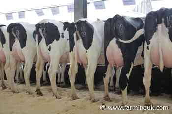 Britain leads world in uptake of sexed dairy semen