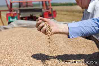 Groups to scrutinise final business case for digital grain passports