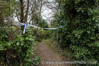 Teenage couple found dead in woods following arrest