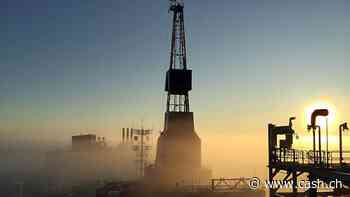 Ölnachfrage erreicht 2030 Plateau - Preise könnten sinken