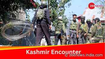 Jammu and Kashmir: 2 Terrorists Killed; CRPF Jawan Dead In Kathua