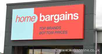 Home Bargains gets Christmas decorations out in June and shoppers are unimpressed