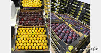 "Goede kwaliteit steenfruit stimuleert herhalingsaankopen"