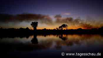 Starke Brände wüten im brasilianischen Pantanal-Sumpfgebiet