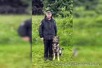 Police dog from Essex among top 5 in national competition