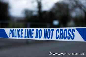 A19: Woman in 30s dies in car crash near Easingwold