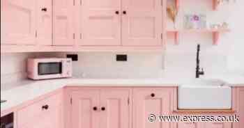 Pink 'Barbie' home goes viral and house hunters can't believe the bargain