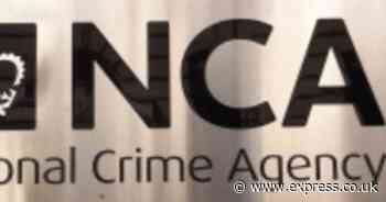 Former NCA officer admits having hundreds of indecent images of children