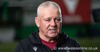Wales' new call-up is a 'real asset' to Warren Gatland as surprise exit exposes reality