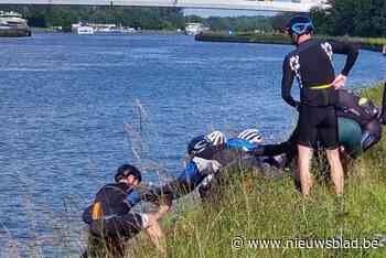 Motorrijder ramt onder invloed wielertoerist in Albertkanaal en wil dan verder rijden: fietsmakkers leveren dader over aan politie