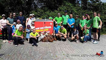 Sportlich die Welt verbessern mit "Plogging“ in Ulm