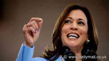 Blow to Kamala Harris as Americans reveal what they REALLY feel about her election chances and if she'd make a 'good' president... despite her 'reboot'