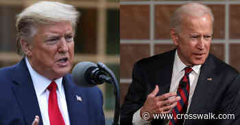 Poll Reveals How Biden and Trump Voters Clash on Marriage, Abortion, and Gender