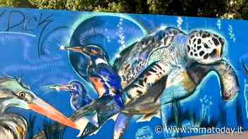 Non solo Ostia: anche ad Acilia arriva un murales dedicato alle tartarughe marine