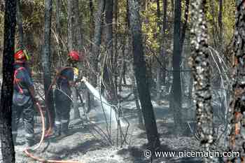 Premier grand feu de l’année dans le Var: la main humaine est encore la première cause d’incendies