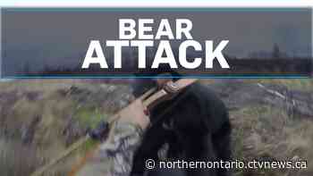 One sent to hospital after bear attack at northwestern Ont. provincial park