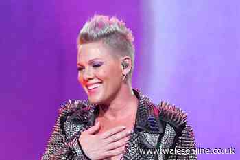 Pink made one fan's year when she gave away her boots at Cardiff show