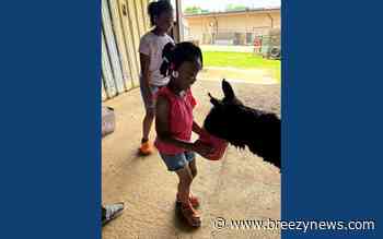Photo gallery: Attala County Library holds petting zoo