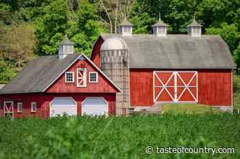 The Gross History Behind the Color 'Red' for Barns