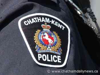 Wallaceburg man charged with assault, resisting arrest