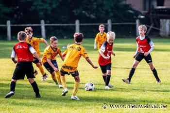 Voetbal Vlaanderen verhoogt bondsbijdragen vanaf 1 juli, Oost-Vlaamse clubs reageren misnoegd: “Dit is toch niet professioneel?”