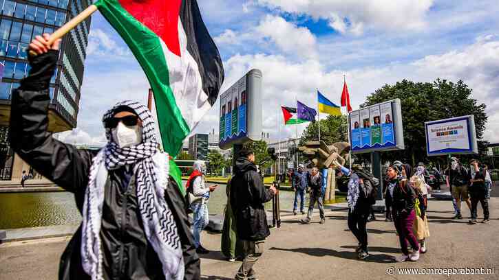 Demonstranten vervangen Brabantse vlag voor Palestijnse vlag op de TU/e