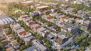 Major update in billionaires' bid to build huge new 'utopian city' in California - but new hurdle emerges