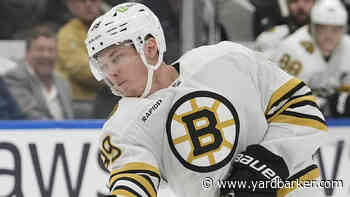 Boston Bruins 2023-24 Season Report Cards: Morgan Geekie