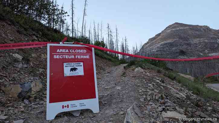 Bear attack closes trails, campgrounds in Waterton Lakes National Park
