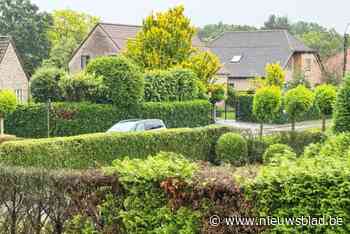 Genkenaren krijgen subsidies voor planten van bomen en hagen