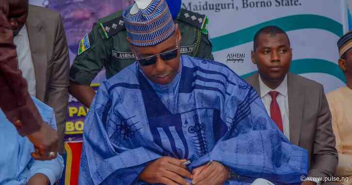 Borno govt approves ₦521.4m for pilgrims BTA, sacrificial animals